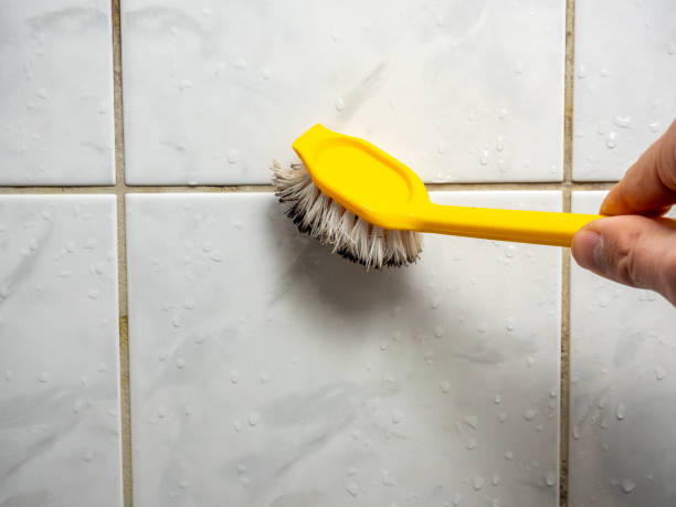 Best Toxic Mold Removal  in West Point, GA