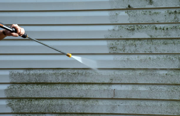 Mold Removal Process in West Point, GA