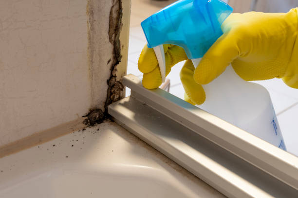 Best Office Mold Removal Services  in West Point, GA