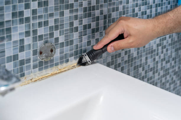 Best Mold Removal Near Me  in West Point, GA
