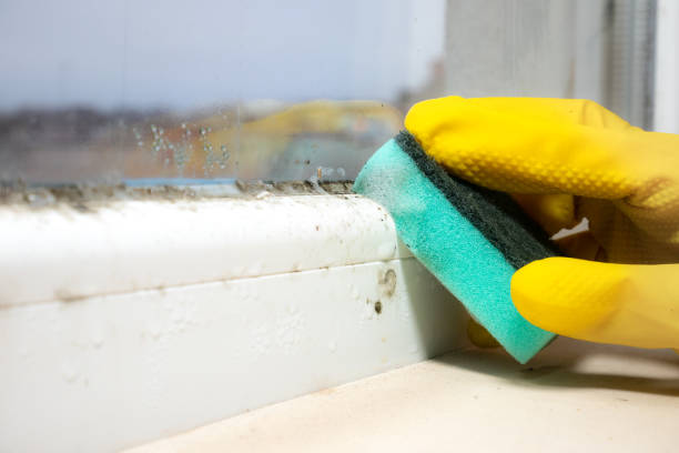 Best Crawl Space Mold Removal  in West Point, GA