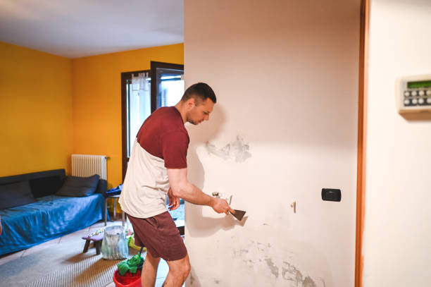 Best Certified Mold Removal  in West Point, GA
